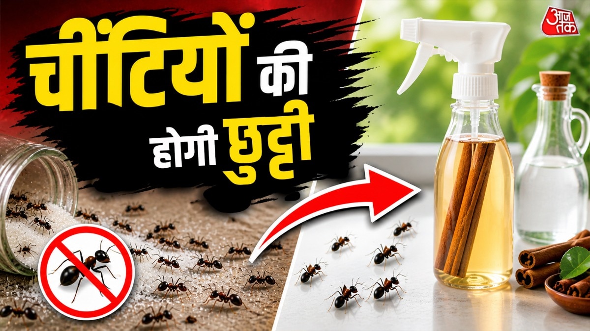 How to Remove Ants