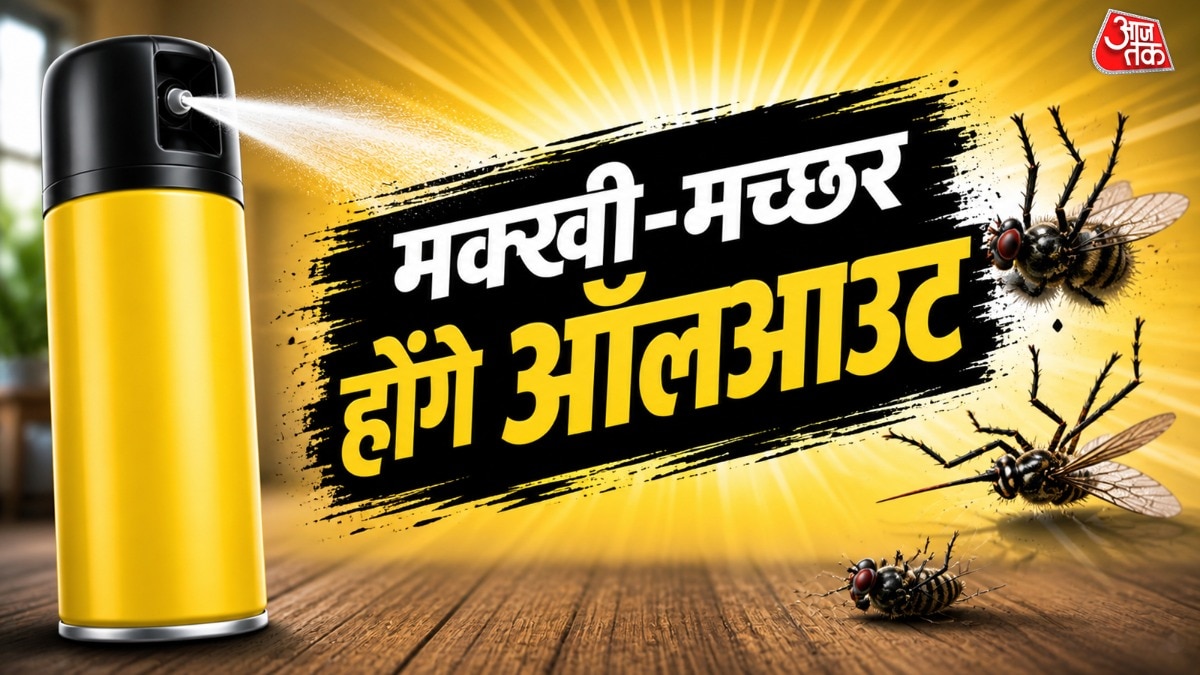 मच्छर दूर भगाने के तरीके (Photo: ITG)