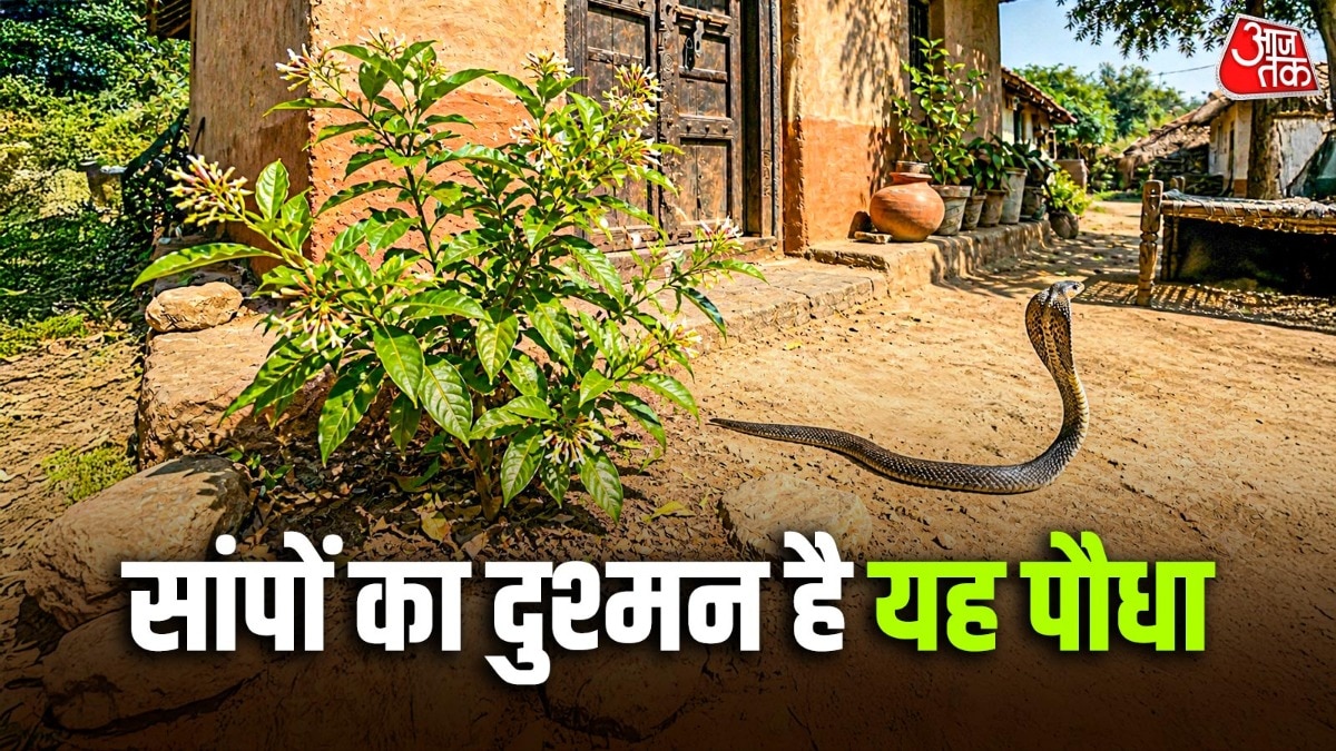 Vastu Tips