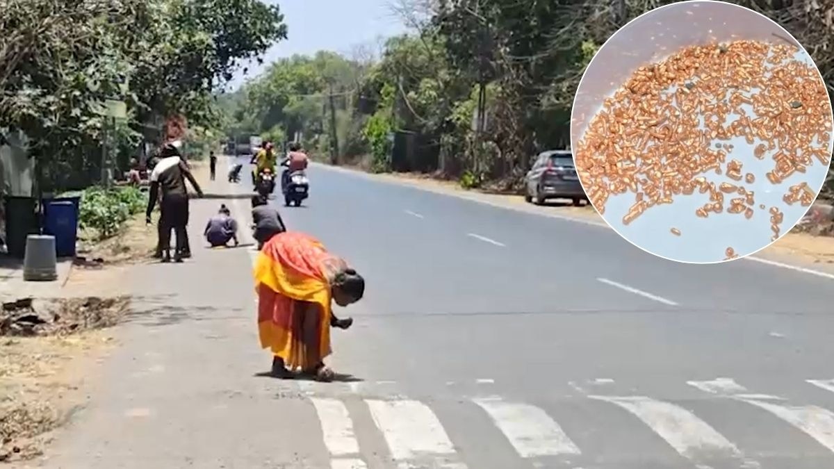 जिसे सोना समझा गया, वो निकले तांबा या पीतल जैसे धातु के टुकड़े. (Photo: Screengrab)