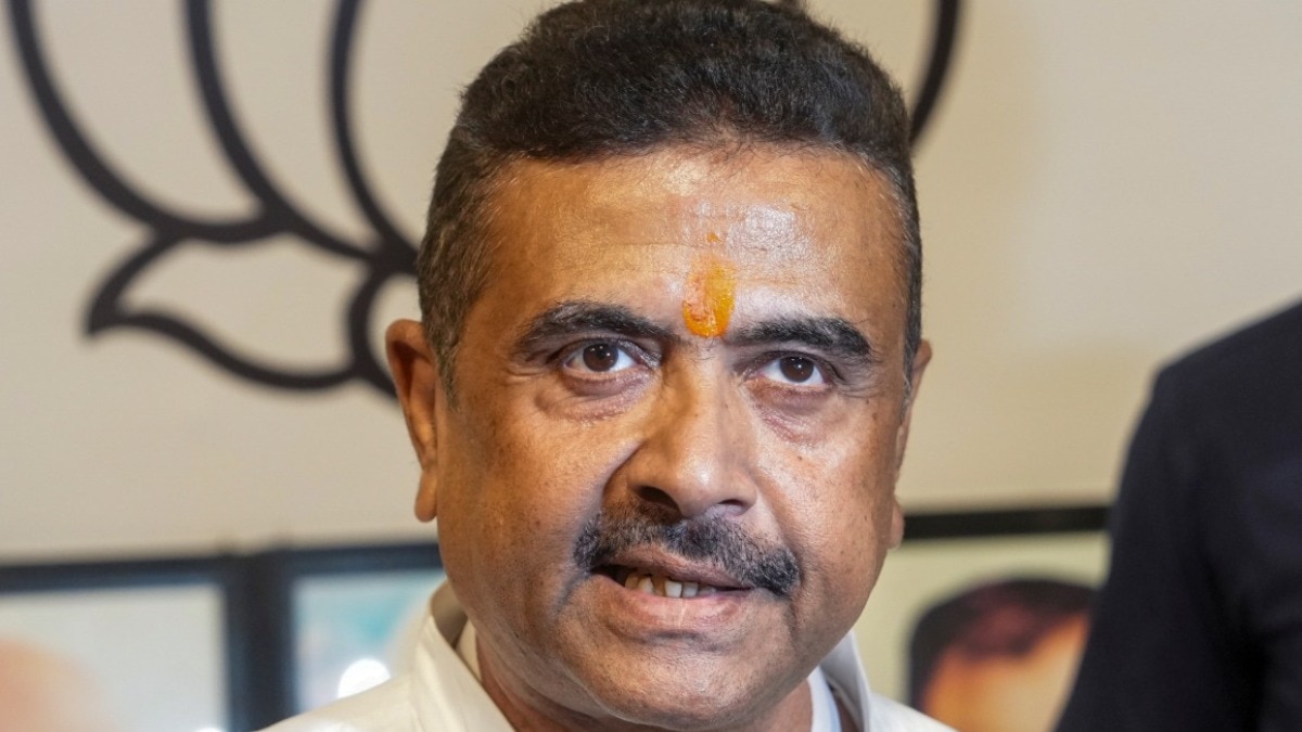 बीजेपी ने 200 से ज्यादा सीटें जीत ली हैं. (Photo- PTI)