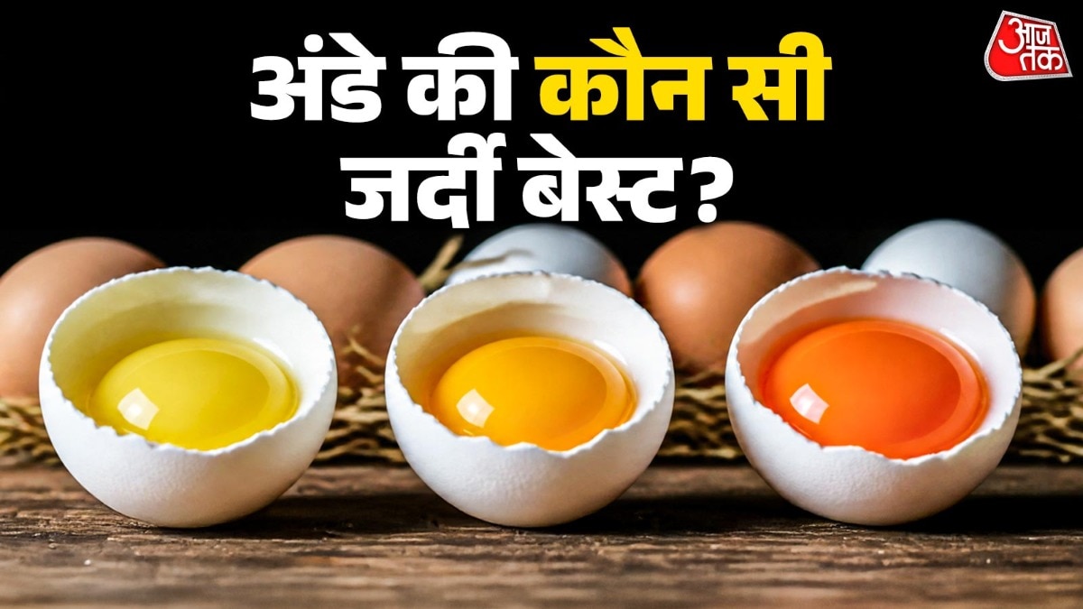 Egg Yolk Colour