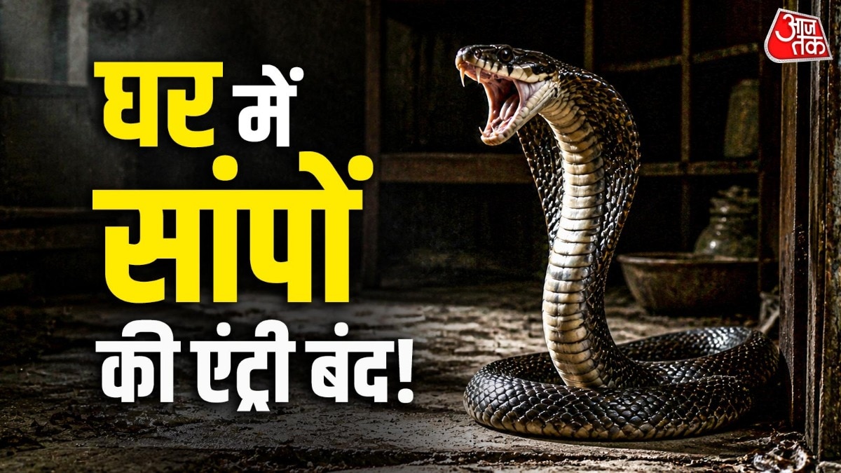 Snakes proofing-house-safety-alert