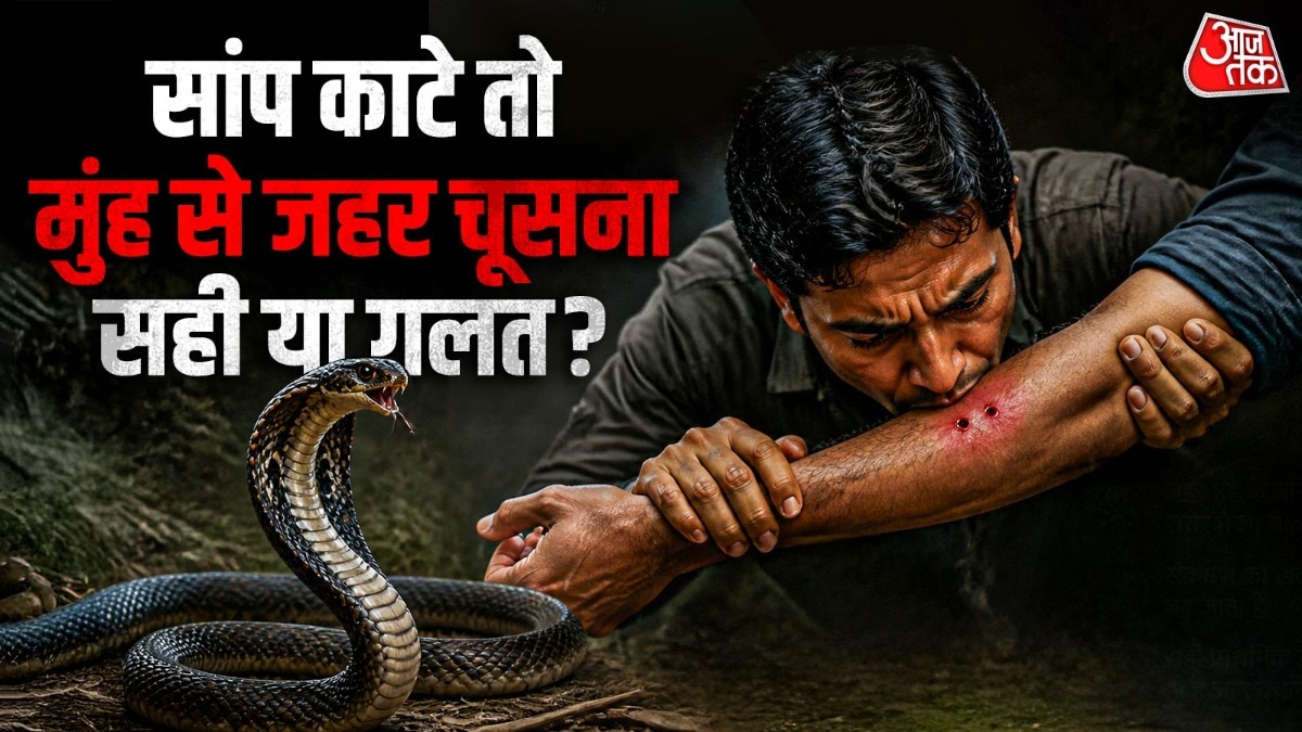 सांप के जहर से जुड़ी ये फिल्मी ट्रिक बेहद खतरनाक है. (Photo: AI Generated)