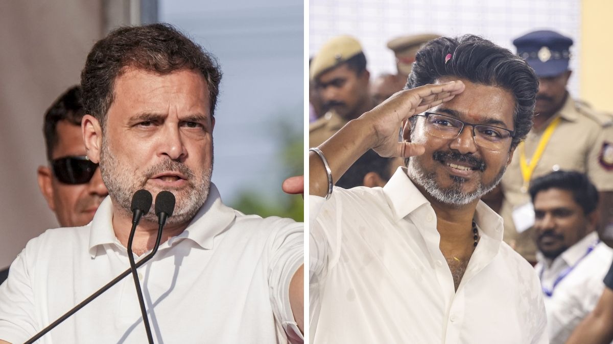 rahul gandhi thalapathy vijay