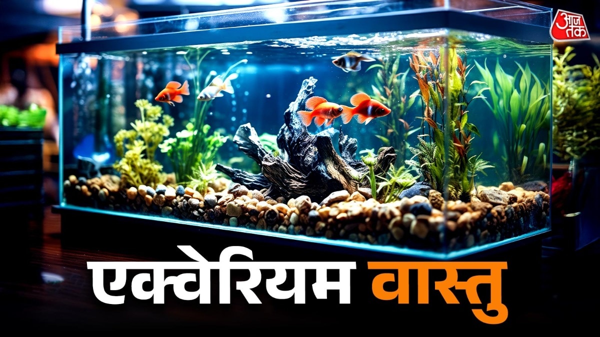 Fish Aquarium Vastu Tips