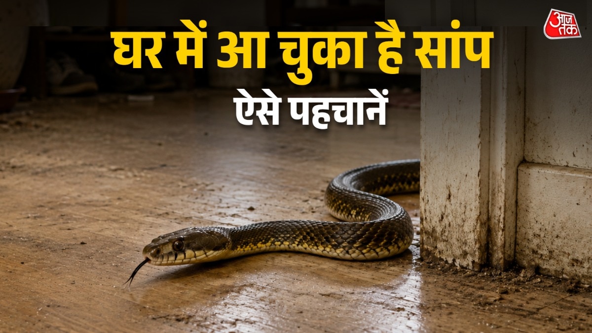 snake-entered your house