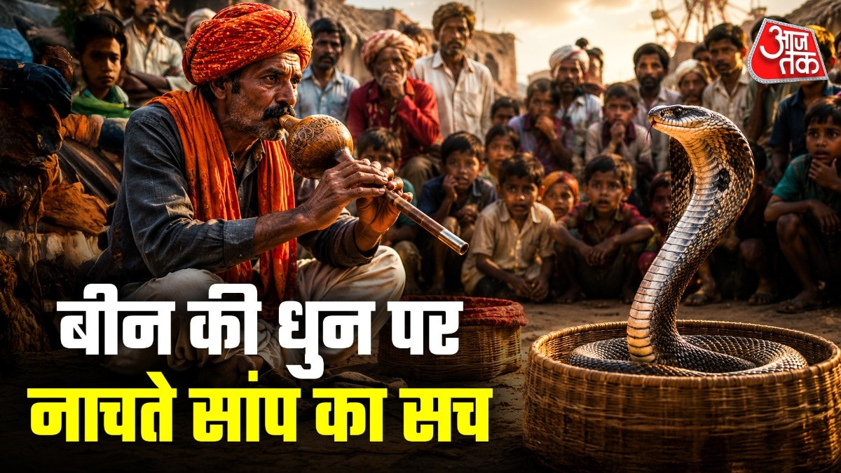 सांपों की सुनने की क्षमता काफी कम होती है. (Photo: ITG)