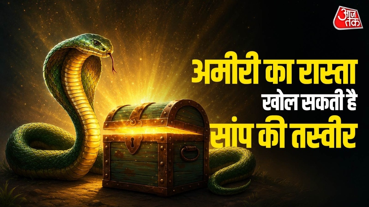 Snake Vastu Tips