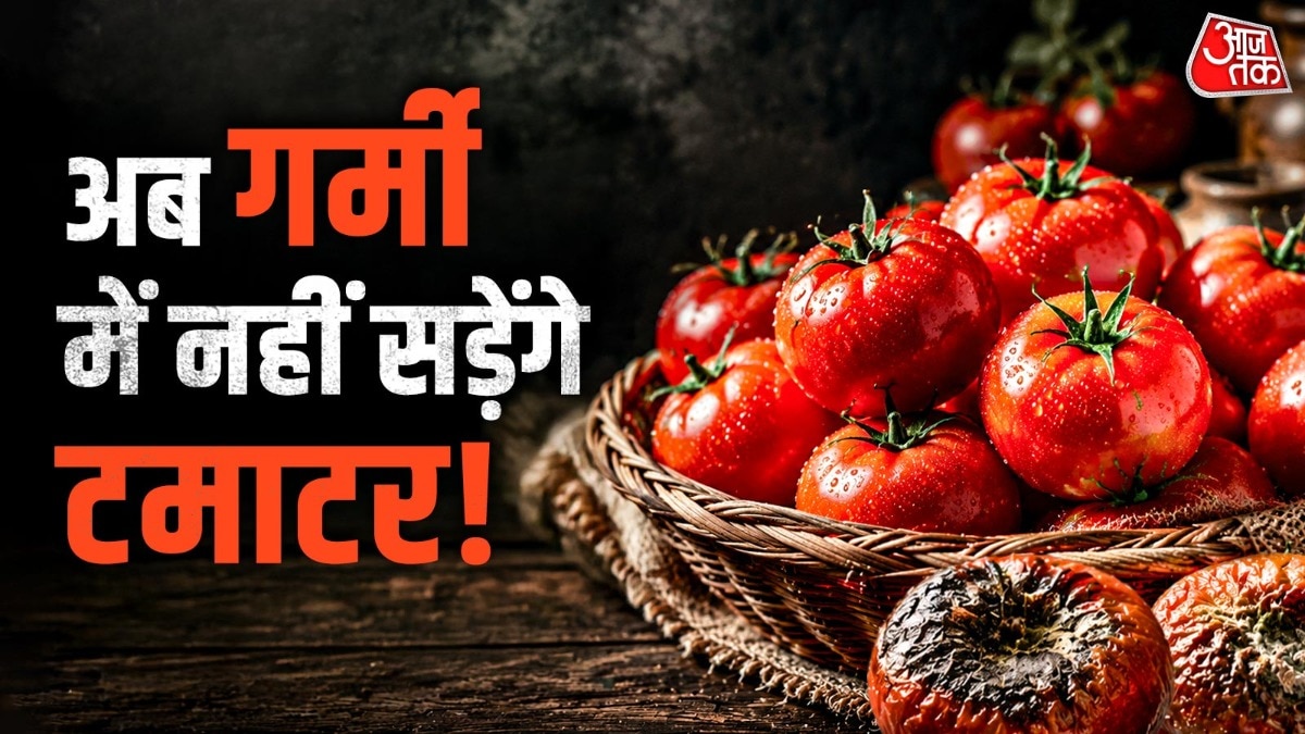 टमाटर को गर्मियों फ्रेश रखने के लिए हमेशा उल्टा रखना चाहिए. (Photo: ITG)