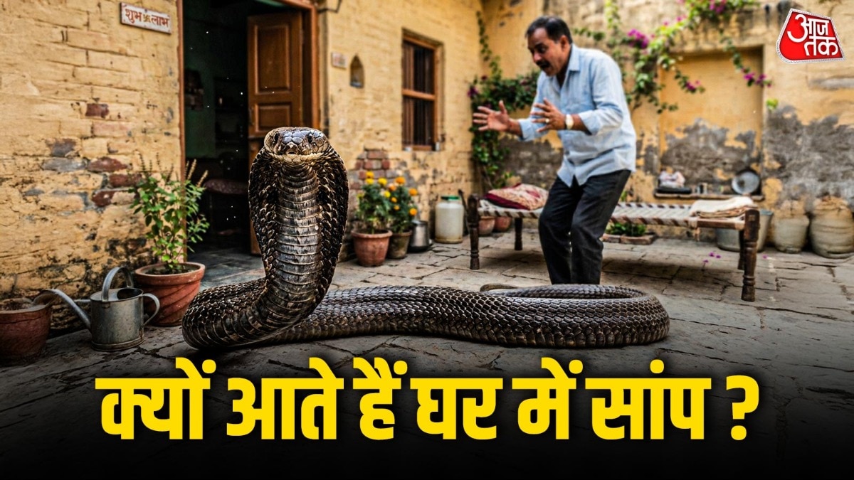 Snake Vastu