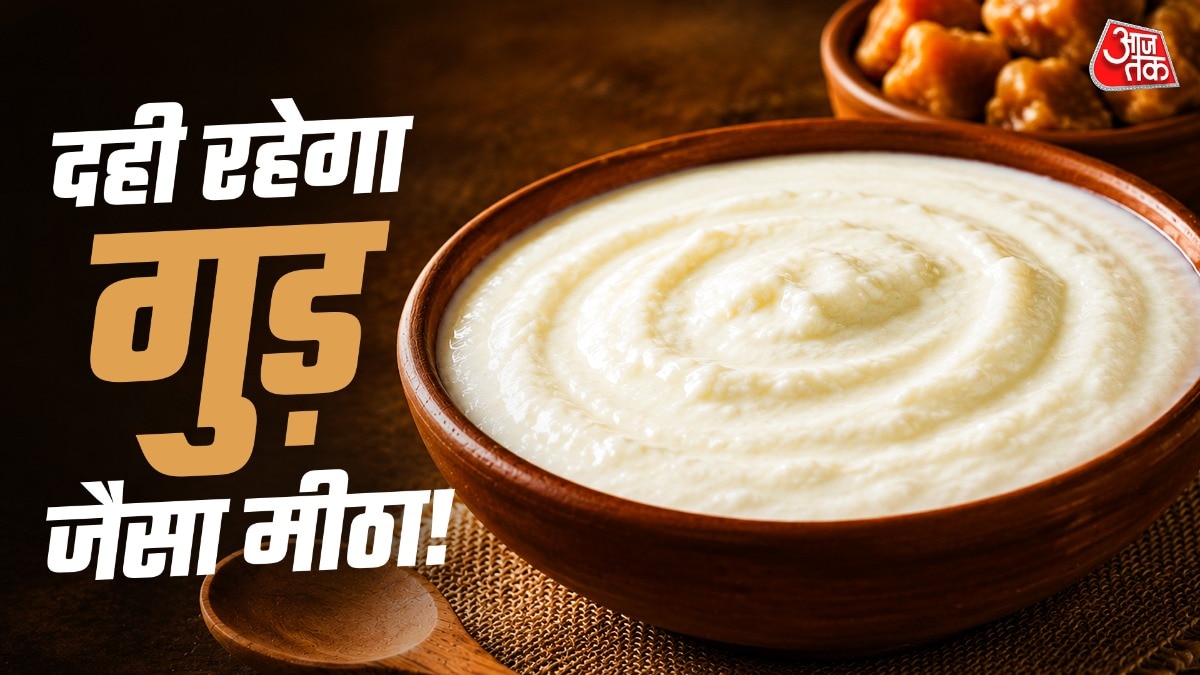 अगर आप चाहते हैं की आपका दही खट्टा न हो तो उसमें गलती से भी नमक न डालें. (Photo: ITG)
