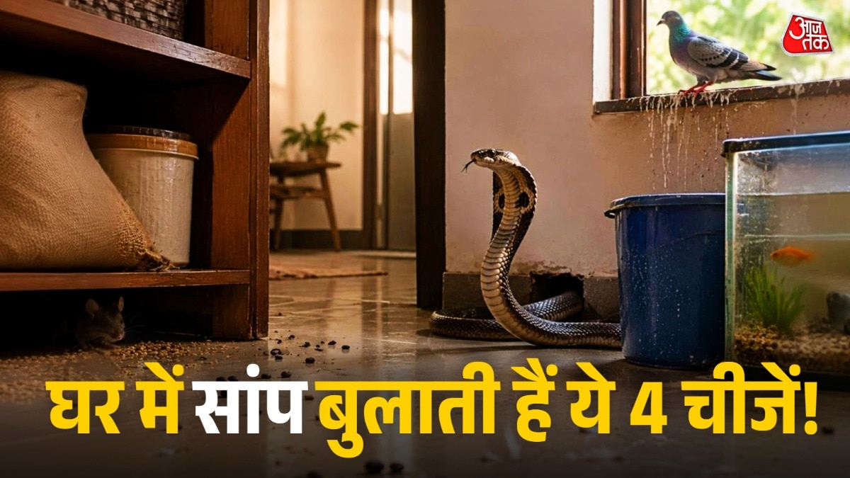 कुछ आदतें सांपों के लिए 'इनविटेशन' बन सकती हैं. (Photo: AI Generated)