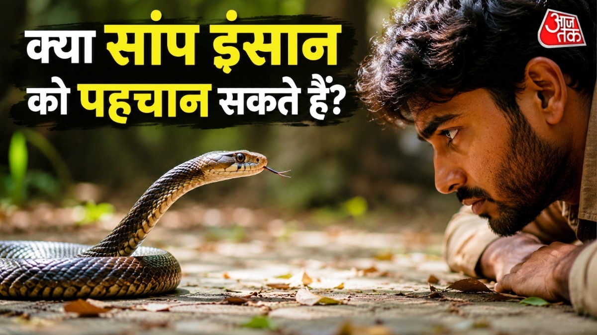 सांप को चीजें याद रहती हैं या फिर सिर्फ एक भ्रम है, इस बारे में कई लोगों को कन्फ्यूजन रहता है. (Photo: AI Generated)