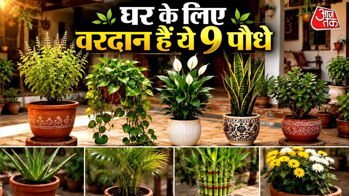 Vastu Upay
