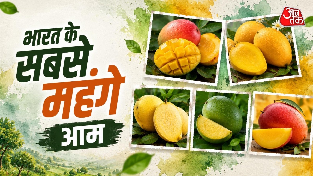 top 5 most expensive mangoes 