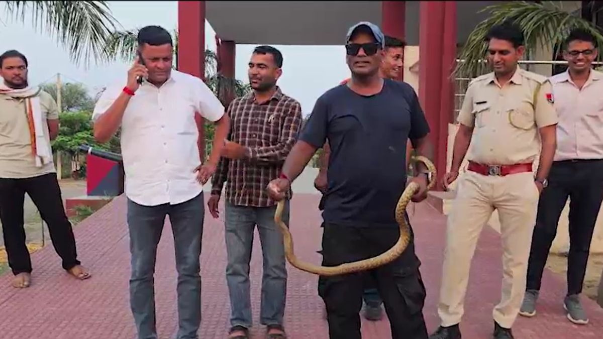 रेस्क्यू टीम ने कहा- सांप काफी जहरीला था. (Photo: Screengrab)