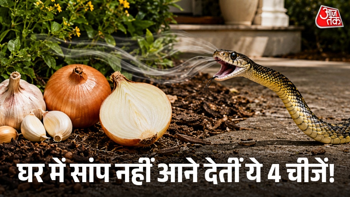 सांप को कुछ गंध से नफरत होती है जिससे वो घर की ओर नहीं आते. (Photo: AI Generated)