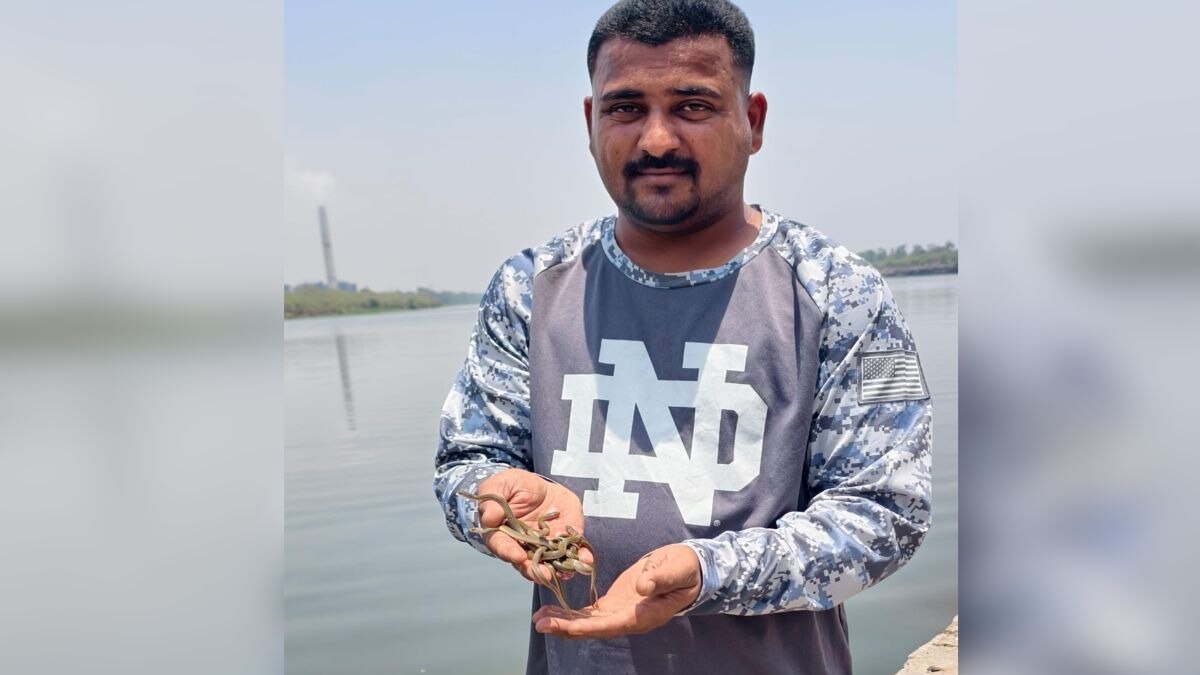 snake found in tank