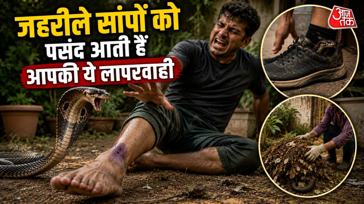 जहरीले सांपों को आप कई बार अनजाने में न्यौता दे देते हैं. (Photo: ITG)