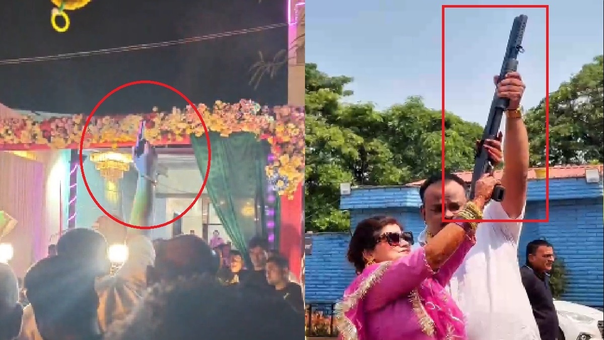 रायपुर: शादी में हर्ष फायरिंग का वीडियो वायरल, BJP नेता के करीबी लोगों पर उठे सवाल