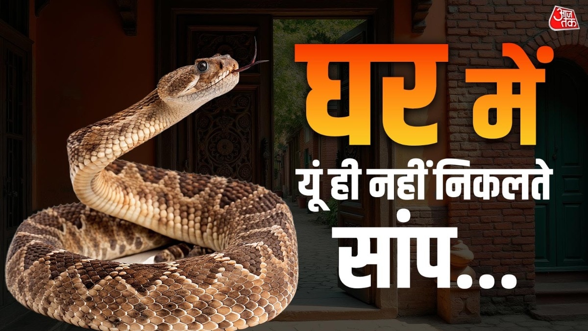 घर में सांप दिखना 4 बातों का संकेत, इस दिशा से जल्दी होते हैं आकर्षित