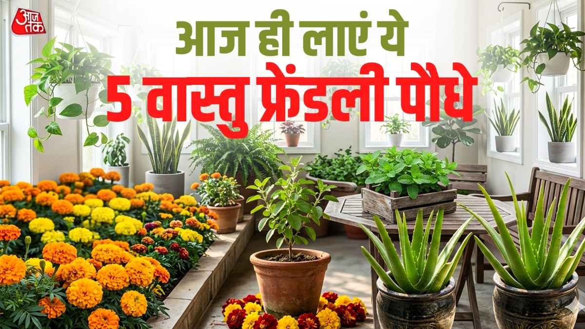 Vastu Upay 