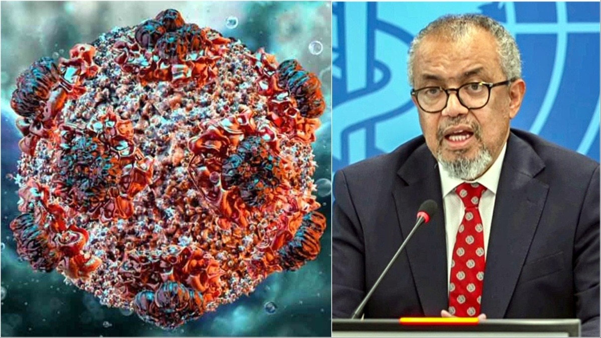 Hantavirus Outbreak WHO