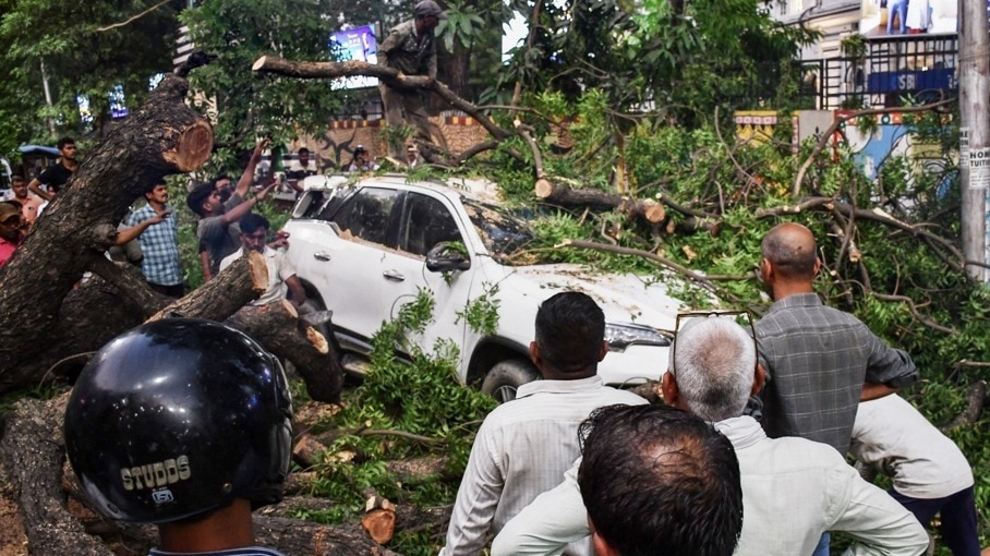 प्रयागराज में आंधी के बाद कई जगहों पर नुकसान हुआ है. (Photo: PTI)