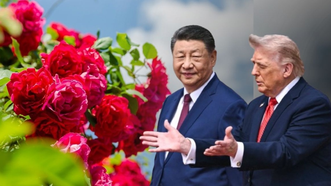 6a06b03f505f4-chinese-rose-153345521-16x9.jpg