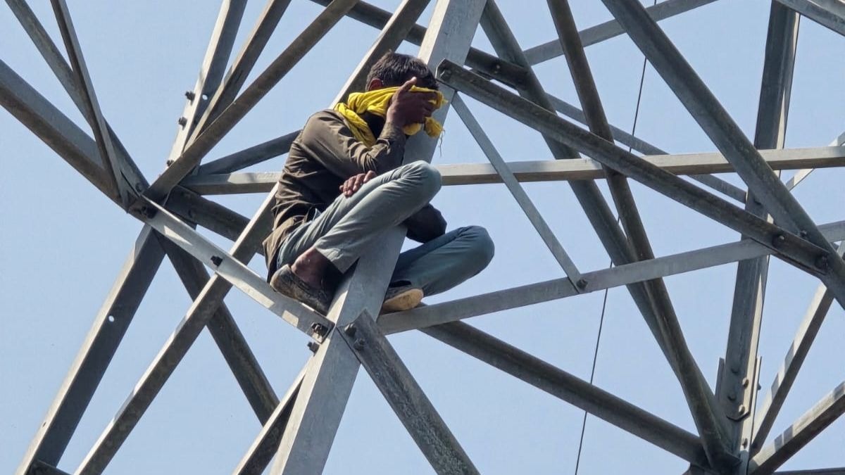 गाय-भैंस पालन के लिए चाहिए था लोन. (Photo: ITG)