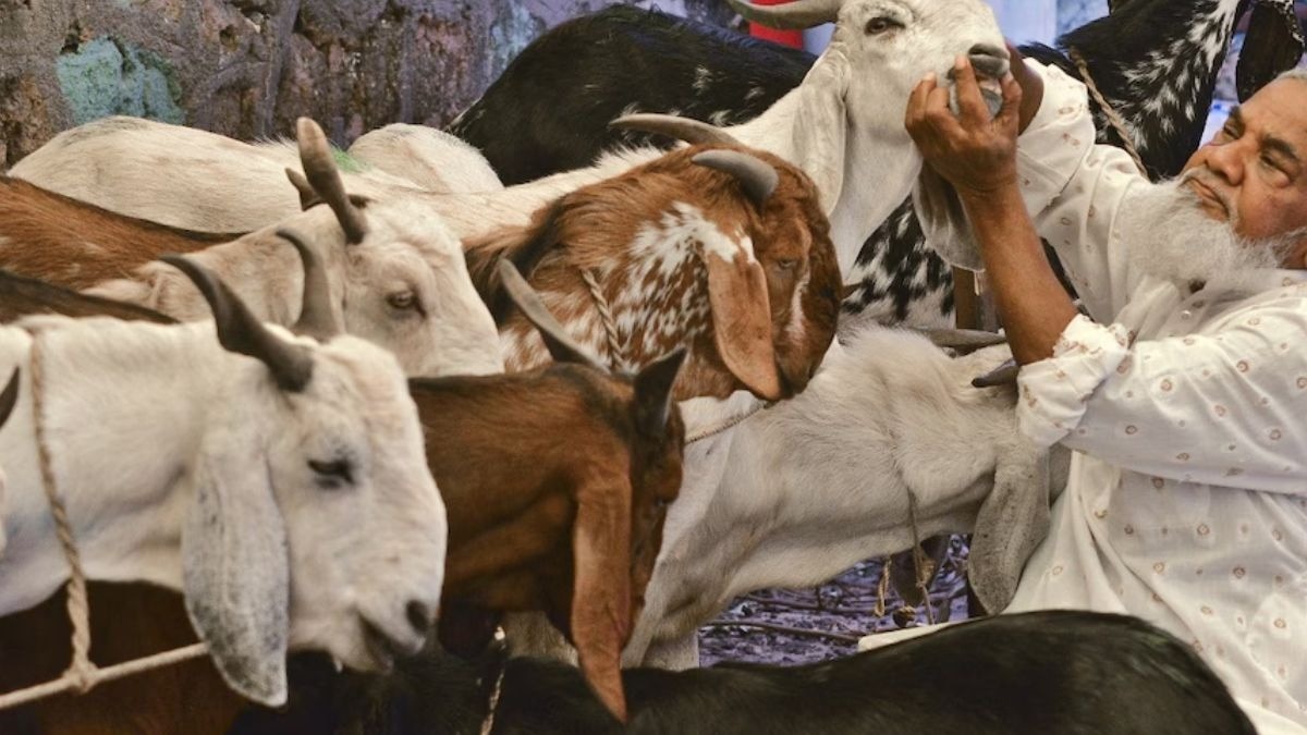 Eid Ul Adha 2026