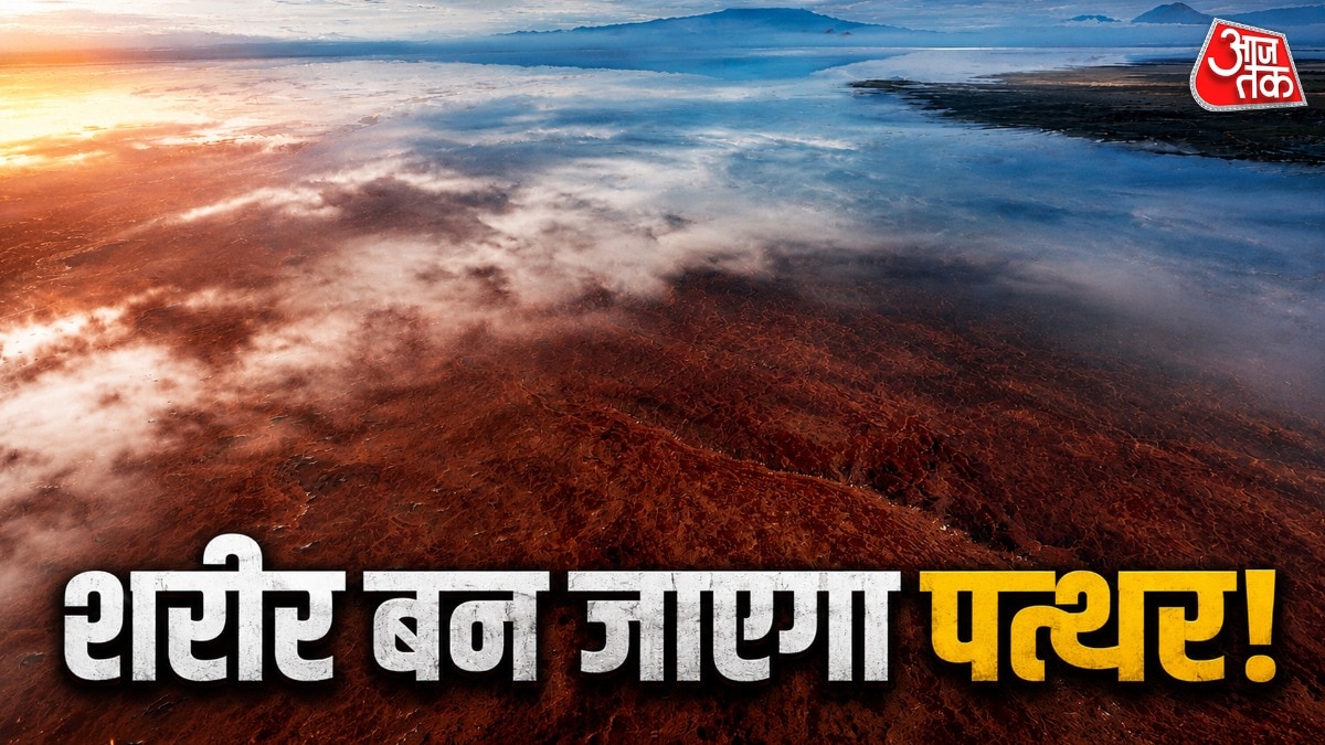 नेट्रॉन झील के पानी में जाते ही जीव पानी बन जाते हैं. (Photo: Getty)
