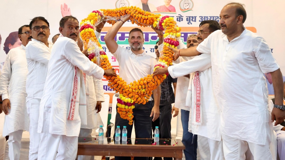 राहुल गांधी रायबरेली से उत्तर प्रदेश की नब्ज टटोलेंगे (Photo-INC)