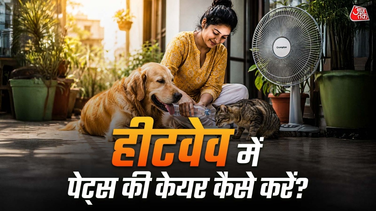 पालतू जानवरों की देखभाल करना जरूरी होता है. (PHOTO:ITG/AI)