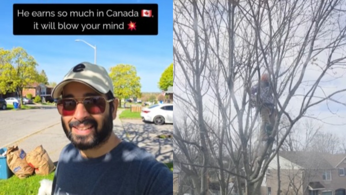 ये वीडियो विशाल ने अपने इंस्टा पर शेयर किया  (Photo: Insta/@thedesiodyssey_canada)