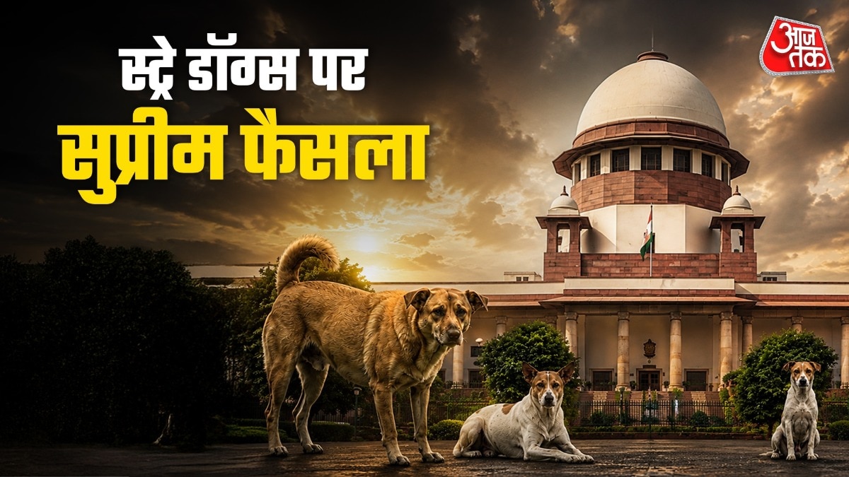 सुप्रीम कोर्ट से लॉग लवर्स को झटका. 