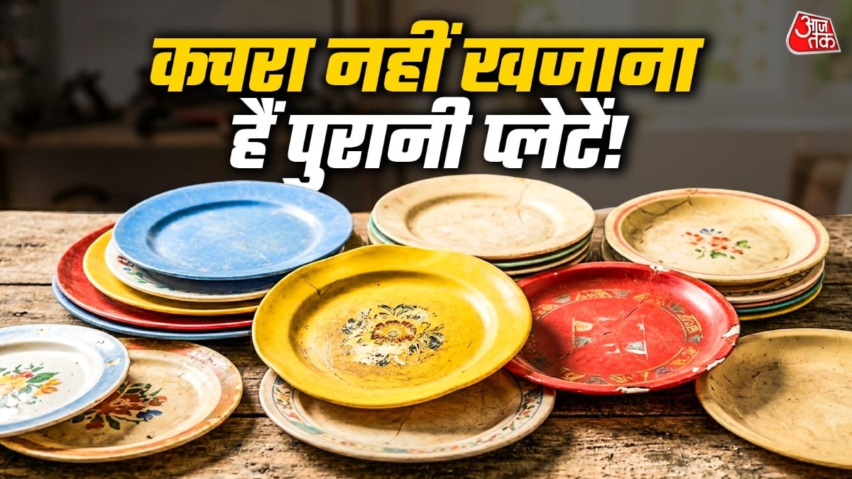 प्लास्टिक प्लेटें घर में खूब इस्तेमाल में आती हैं.  (PHOTO:ITG/AI)