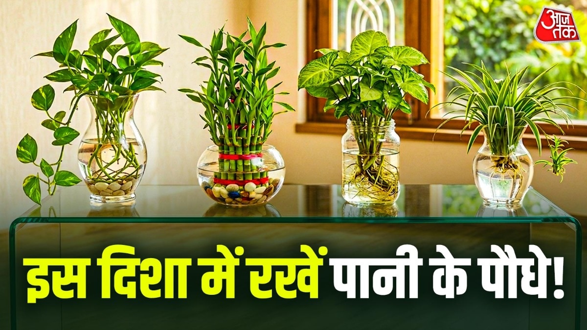 वास्तु टिप्स (Photo: ITG)