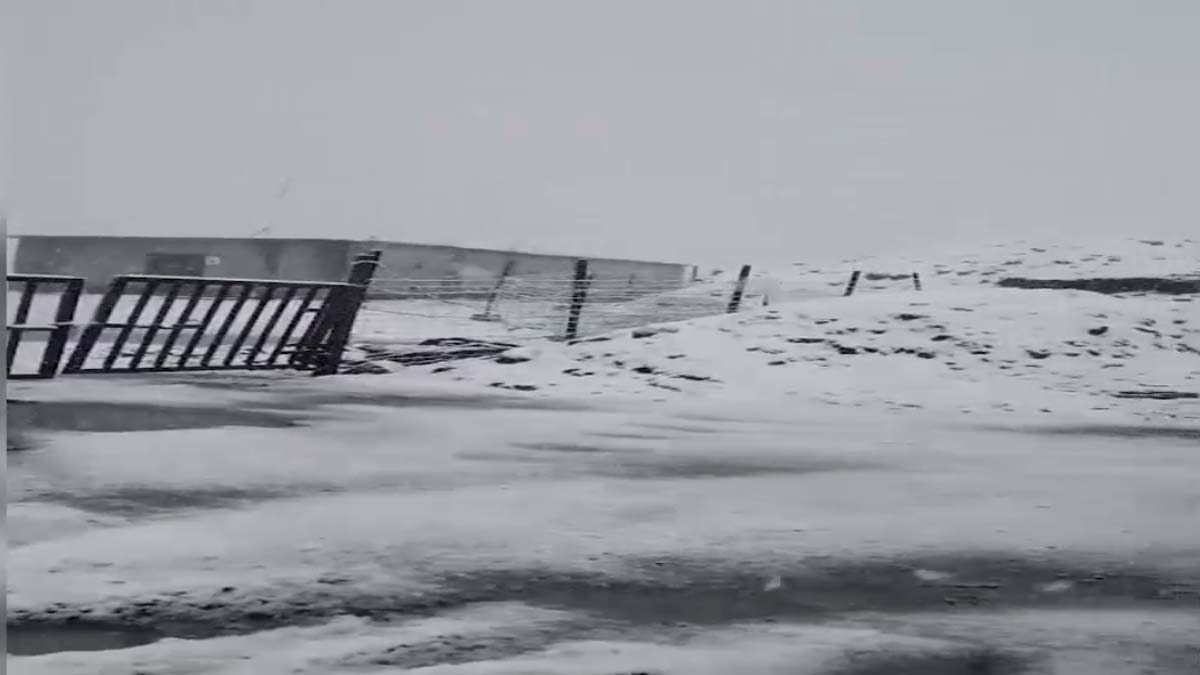 Snowfall in May: Unseasonal snow turns Zojila into white landscape (Picture- Video screengrab-ITG)