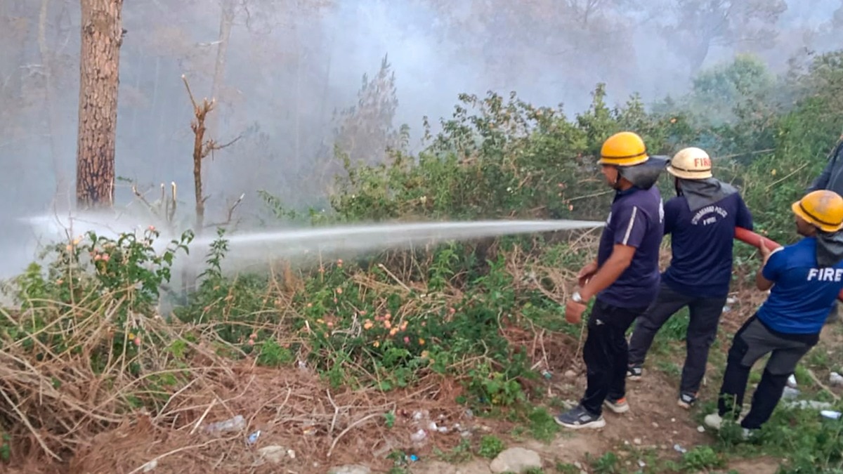 उत्तराखंड में अल्मोड़ा के जंगलों तक आग पहुंच चुकी है. (Photo: PTI)