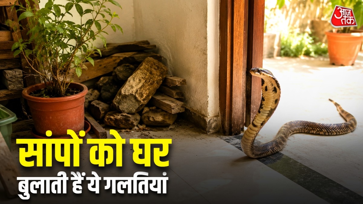 things-that-attract-snakes-to-your-home-gardening-tips