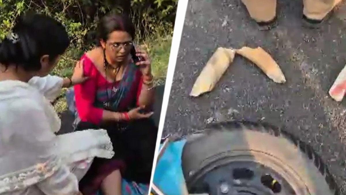 खटीमा में स्कूटी से टकराने पर हाथी का दांत टूटा. (Photo: Screengrab)