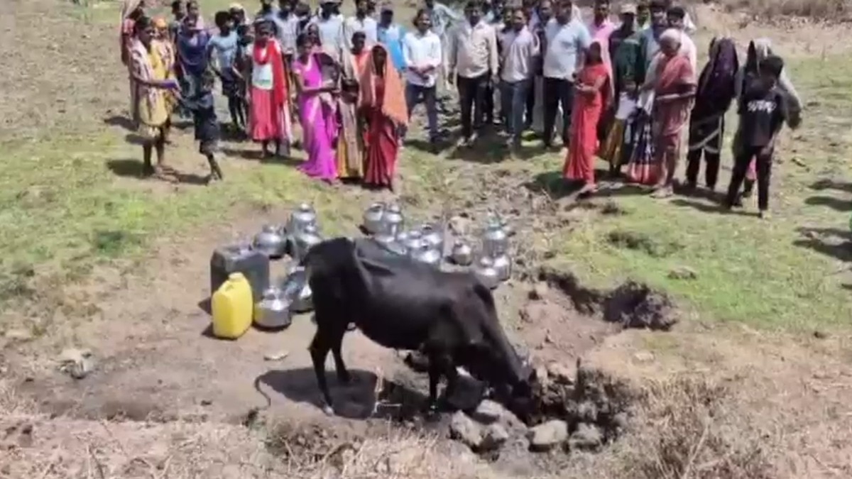 In a tribal village in Palghar, humans also take water from the same pit from which animals drink water