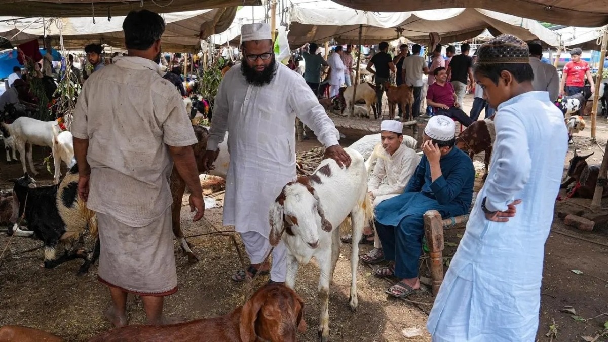Goat sellers wait for customers ahead of the 'Eid-al-Adha' festival 
