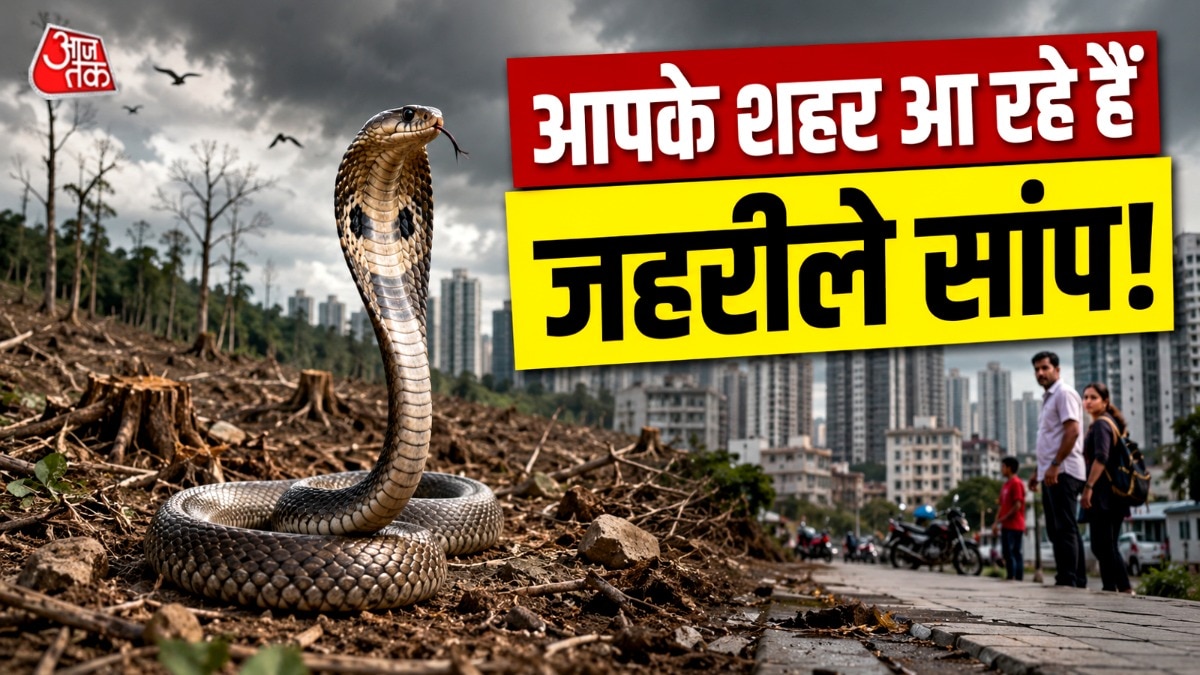 Snakebite risk increasing
