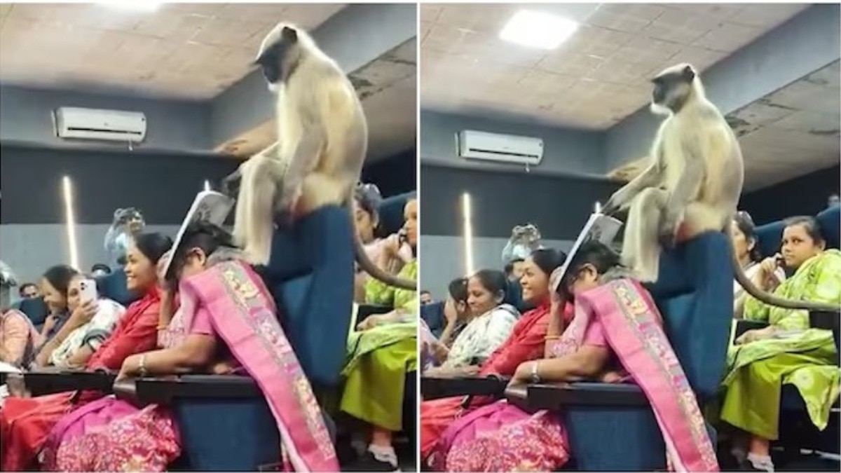 monkey-enters-census-training-classroom-video-goes-viral