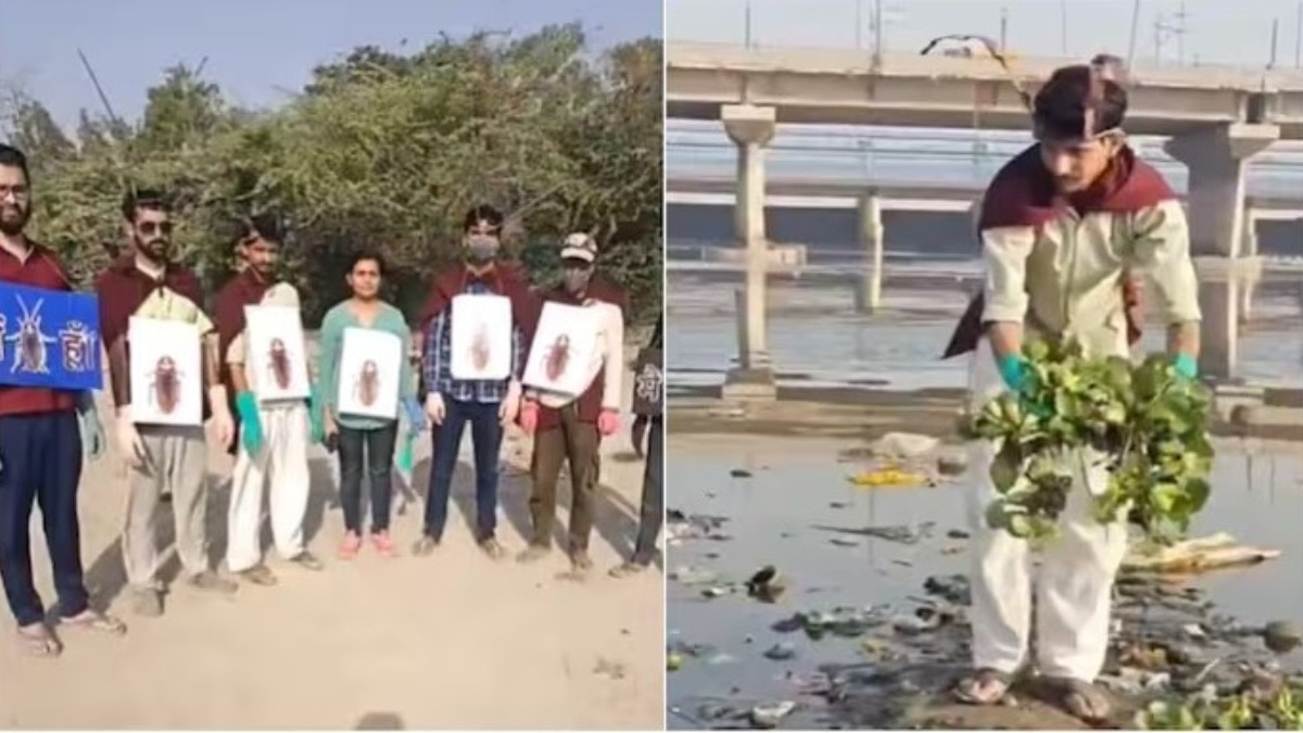 cockroach-costume-yamuna-cleaning-protest-video