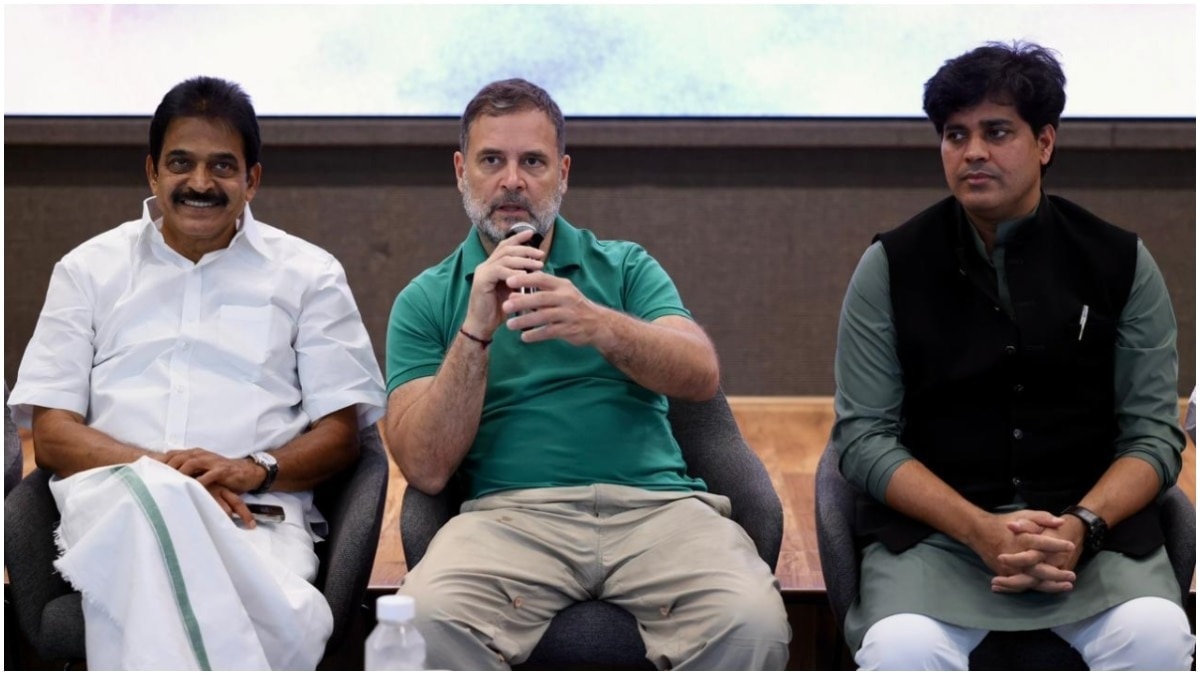 राहुल गांधी के बयान को पीयूष गोयल ने बताया देश के खिलाफ बड़ी साजिश (File Photo)