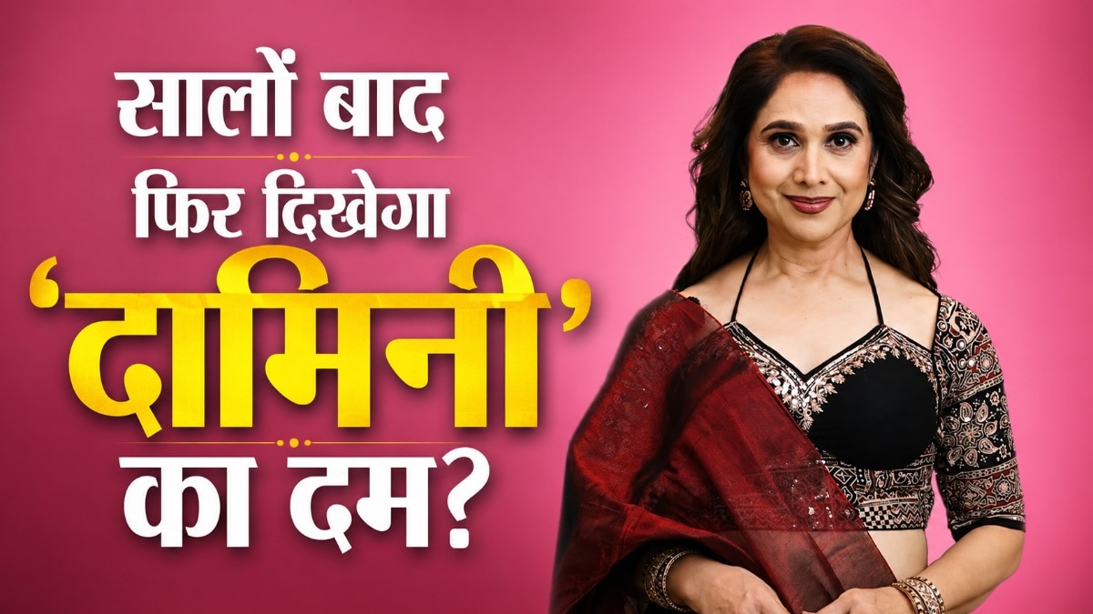 30 साल बाद भारत लौटीं मीनाक्षी शेषाद्रि, कमबैक करने को बेताब
